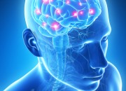 Nasce la neuroginecologia, la scienza che studia il cervello per curare la salute femminile