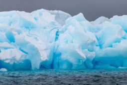Microplastiche, scovate anche nelle catene alimentari più remote: prime evidenze in Antartide