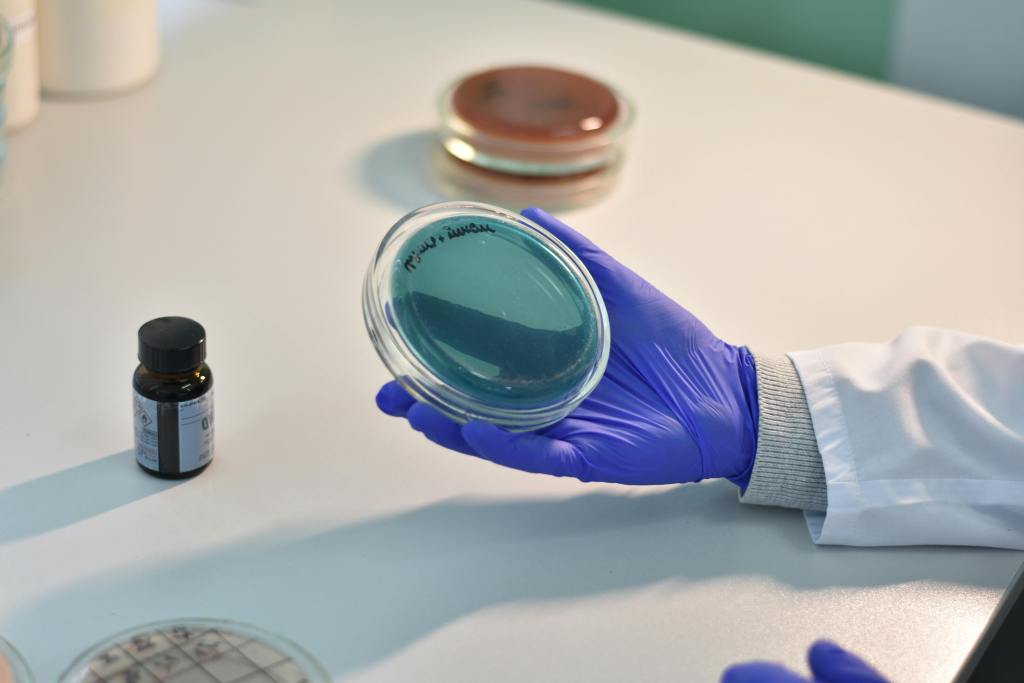 Infezioni resistenti ai farmaci destinate ad aumentare in Europa, secondo uno studio c’entra l’invecchiamento della popolazione