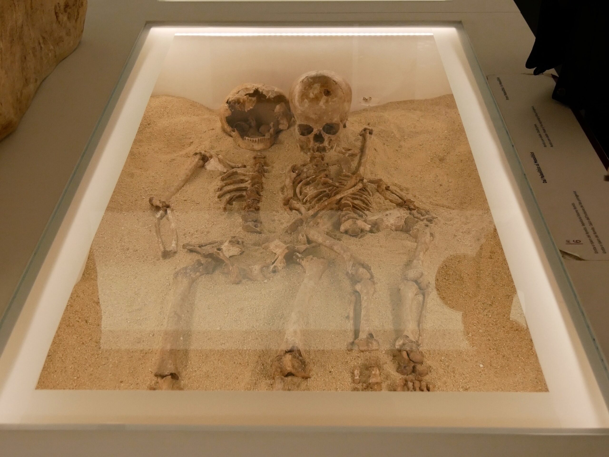 Grotta del Romito: il DNA antico conferma una rara malattia genetica del Paleolitico