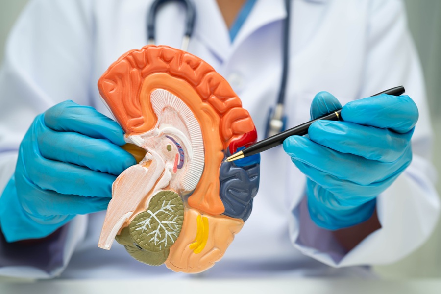 Il Long Covid può danneggiare il cervello come l’Alzheimer