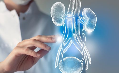 Tumori urologici. Ogni anno in Italia oltre 5.500 casi “ereditari”. Siuro: “Vanno personalizzate le terapie e la prevenzione”